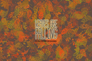 Leaves Are Falling