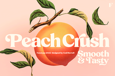 Peach Crush Serif Typeface, a Serif Font by Fenotype
