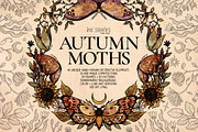 Autumn Moths & Dried Botanicals, an Animal Illustration by Ink Stories (Thumbnail 1 of 18)