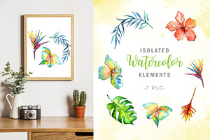 Tropical Plant PNG Watercolor Set