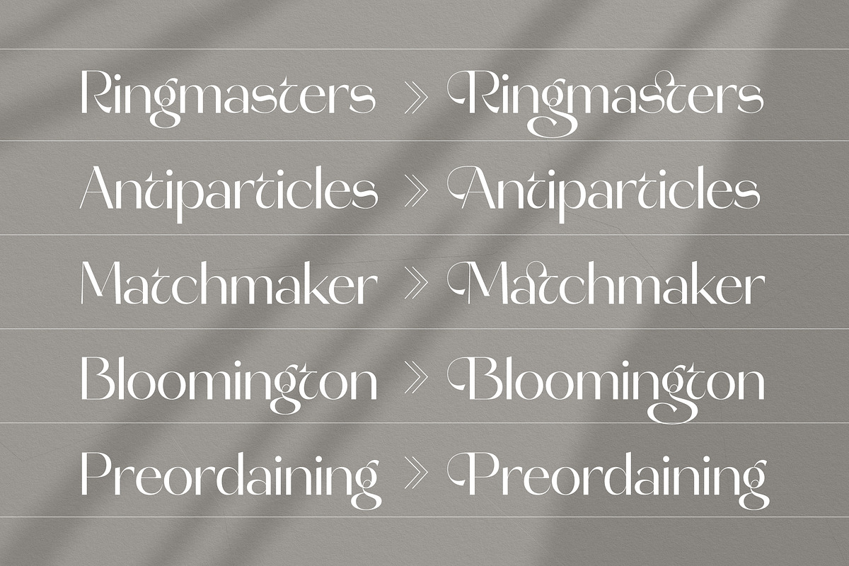 Molgeth - Aesthetic Sans Serif, a Sans Serif Font by Variatype (Photo 2 of 15)