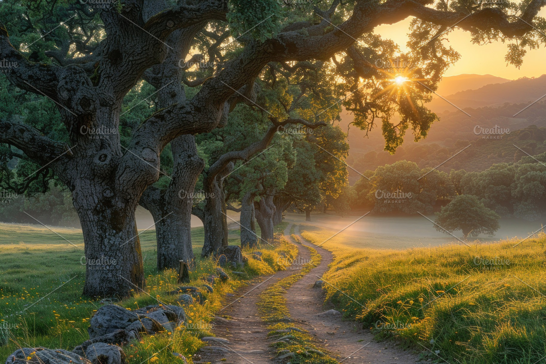 Winding country path through ancient oak trees at golden sunrise, a Photo by José Manuel Gelpi