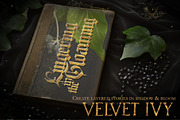 Velvet Ivy – Botanical Backgrounds |, a Background Graphic by Aga Silva (Thumbnail 2 of 9)