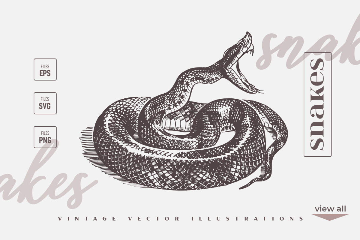 Vintage Bundle 2500+ Free Update, an Animal Illustration by Retro Machine (Photo 3 of 170)