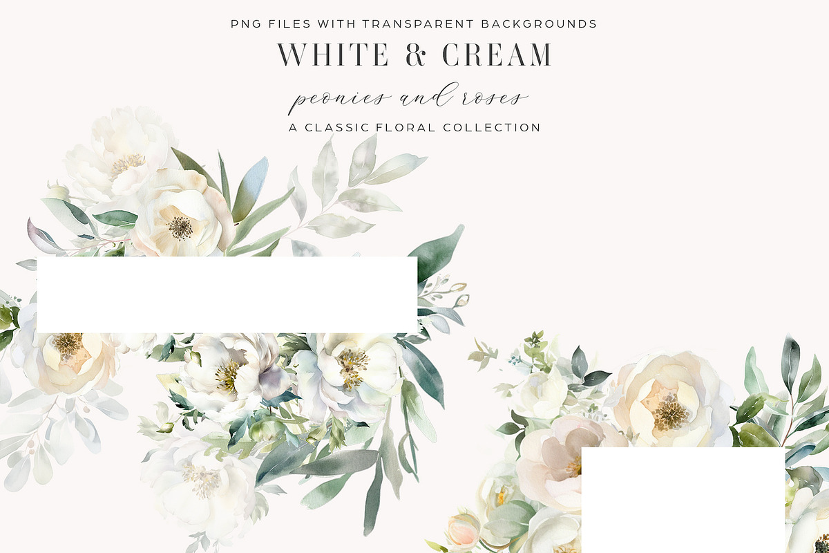 White and Cream Peonies and Roses, a Decorative Illustration by Twigs and Twine (Photo 4 of 6)