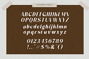 Villesta, a Sans Serif Font by Zafiratype (Thumbnail 13 of 14)