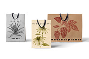 Set of medical plants., an Object Graphic by MarinaVorontsova (Thumbnail 4 of 4)