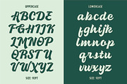 ATHLANTIK - Bold Script, a Script Font by Havinkpen (Thumbnail 7 of 8)