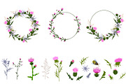Thistle - meadow flower, an Illustration by MariiaVasilenko (Thumbnail 5 of 6)