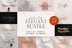 Whole Shop Bundle 99% OFF, a Serif Font by supfonts