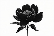 Floral Corner & Border Bundle, an Illustration by BIPLOB EXPERT (Thumbnail 6 of 9)