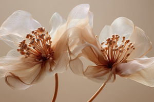 Cream soft fabric flowers, a Photo by Beautiful things