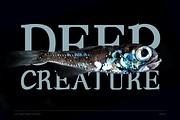 Andaman an Experimental Serif Font, a Serif Font by Lettertype Studio (Thumbnail 7 of 15)