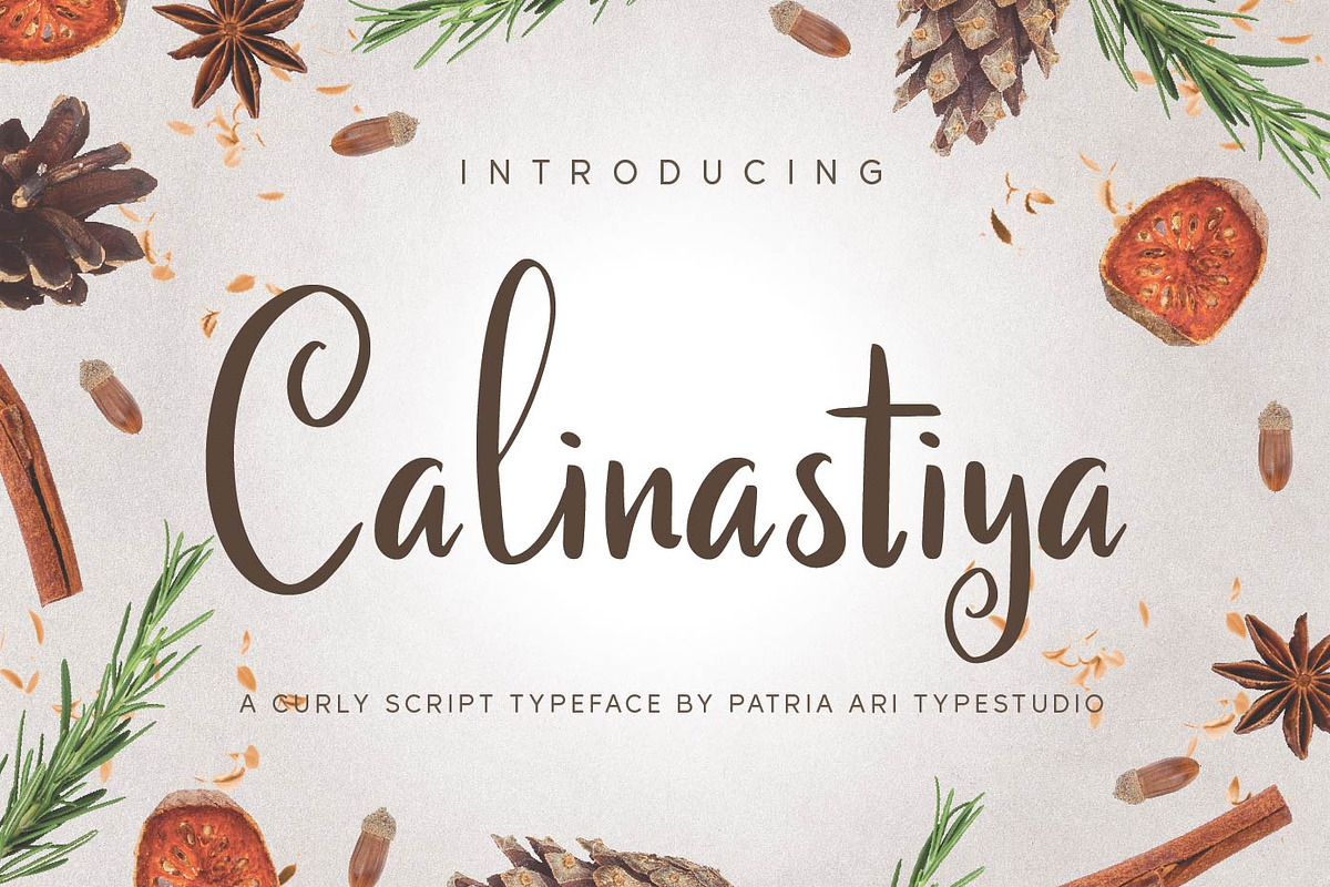 Calinastiya - Fun Handwritten Fonts, a Script Font by Patria Ari (P4tcreativa) (Photo 1 of 10)