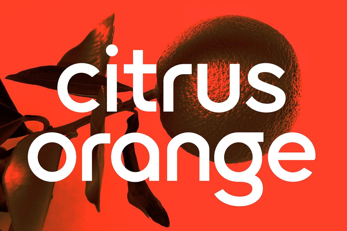 Ostra Centra - Geometric Sans, a Sans Serif Font by Viswell (Photo 3 of 9)