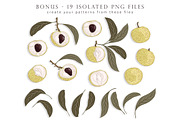 Longan - Set patterns, a Pattern Graphic by Yummy (Thumbnail 5 of 11)