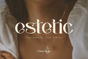 Palmer Sorjan - A Modern Serif, a Serif Font by Koplexs Studio (Thumbnail 2 of 11)