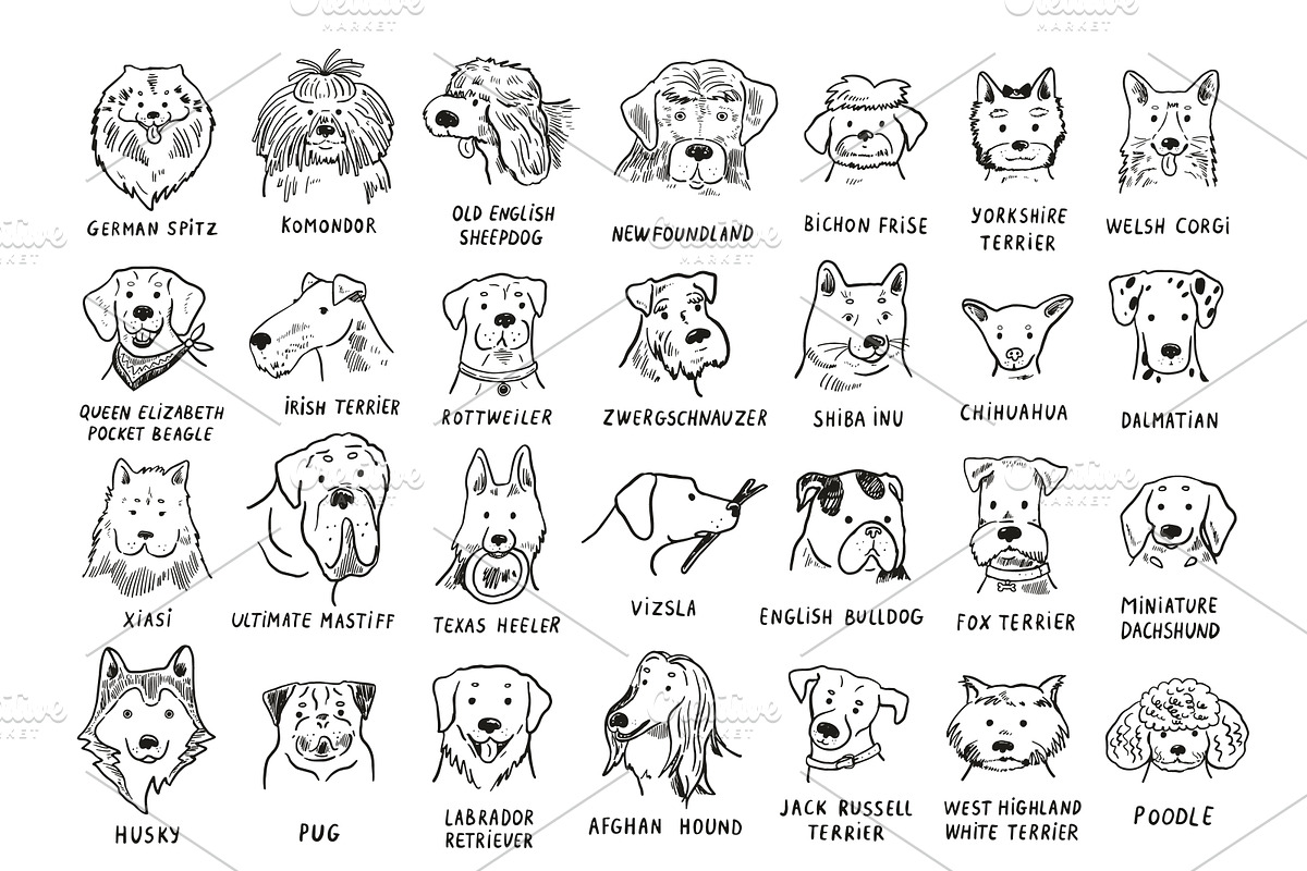 Dogs with Glasses, an Animal Illustration by GooseFrol (Photo 11 of 17)