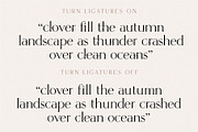 Hunter - Serif Ligature Font, a Serif Font by Tropical Type (Thumbnail 4 of 8)