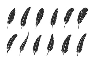 Quill Feather Icons. Bird Plume