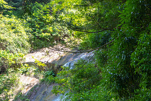 Shiraito Falls in lush forest on Mount Misen, Miyajima, a Nature Photo by GoodGoods