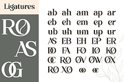Overse - Modern Serif Typeface, a Serif Font by Font Liner (Thumbnail 11 of 12)