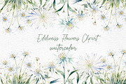 White Flowers Clipart Eucalyptus, a Decorative Illustration by LeCoqDesign (Thumbnail 1 of 5)