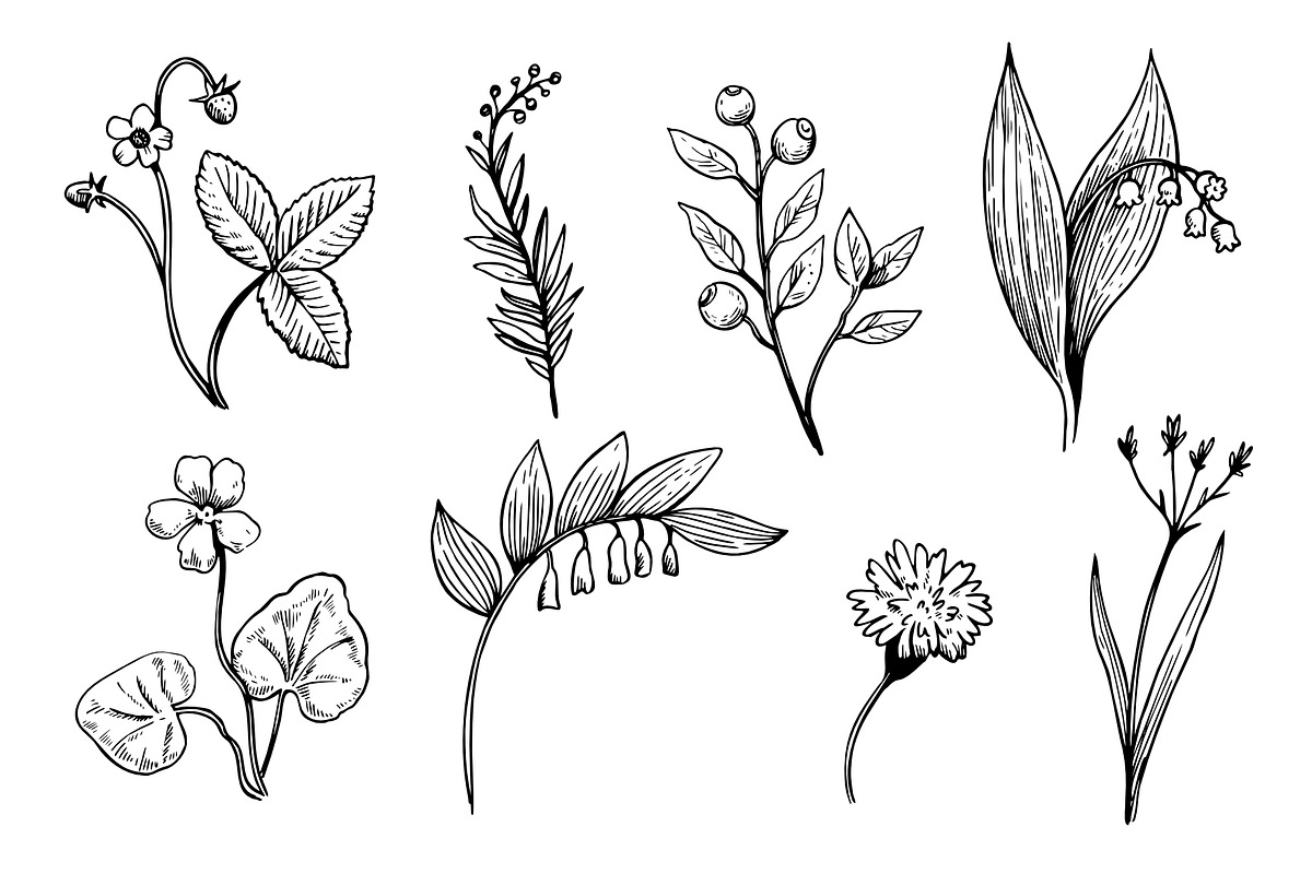 Summer in the forest illustrations, a Decorative Illustration by Robusta (Photo 2 of 4)
