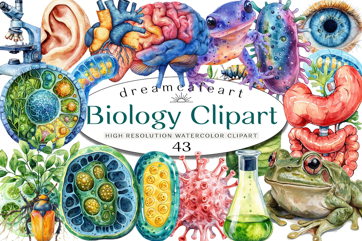 Biology Clipart Bundle, an Illustration by DreamCafeArt (Photo 1 of 4)