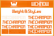 The Champion font, a Sans Serif Font by weknow (Thumbnail 7 of 8)