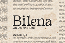 Bilena - Old Style Serif