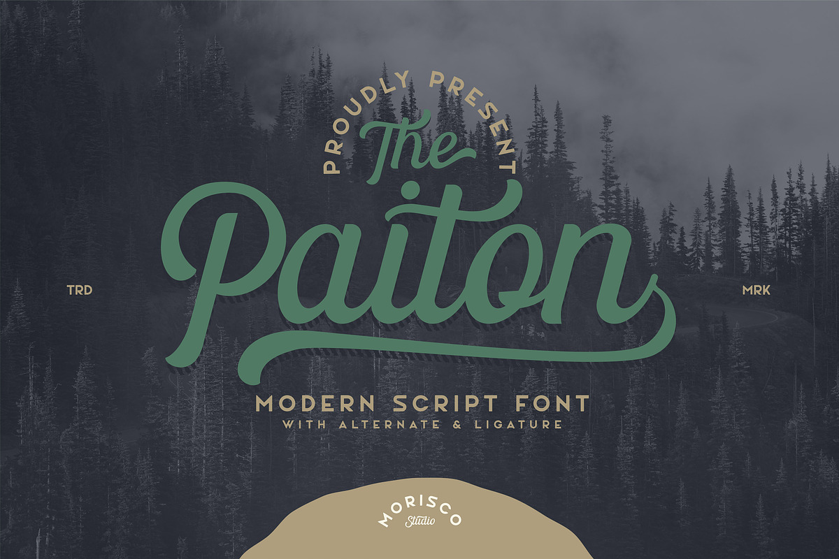 The Paiton -Modern Script Font, a Script Font by Morisco (Photo 1 of 9)