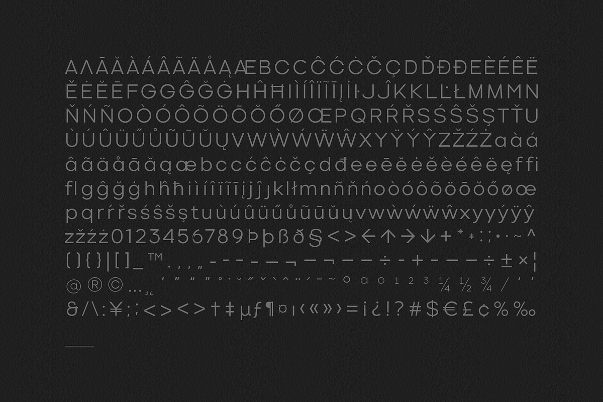 Vilonti, a Sans Serif Font by OWL KING (Photo 2 of 10)