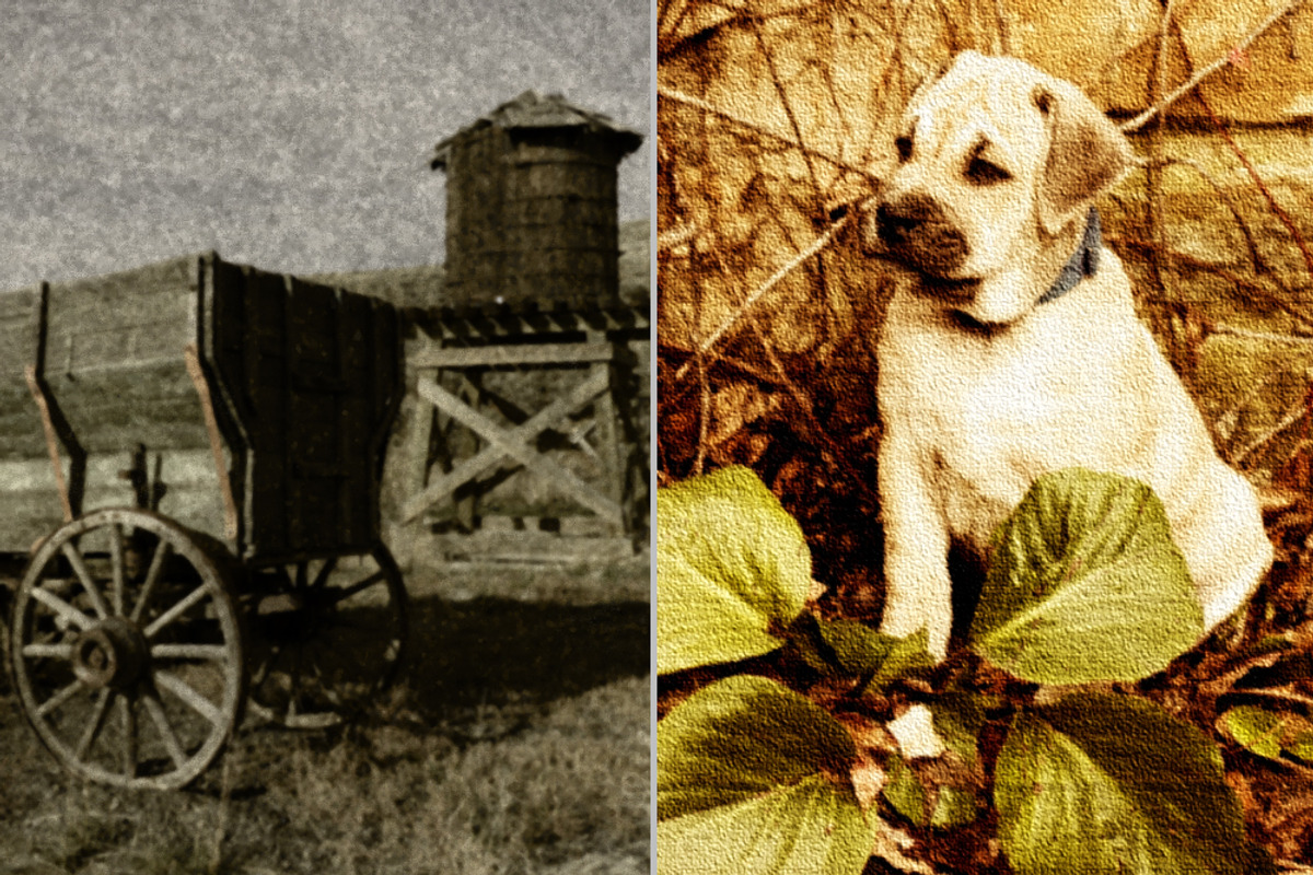The Old Western Collection Actions, an Action Add-On by MarieMcKennaDesigns (Photo 3 of 5)