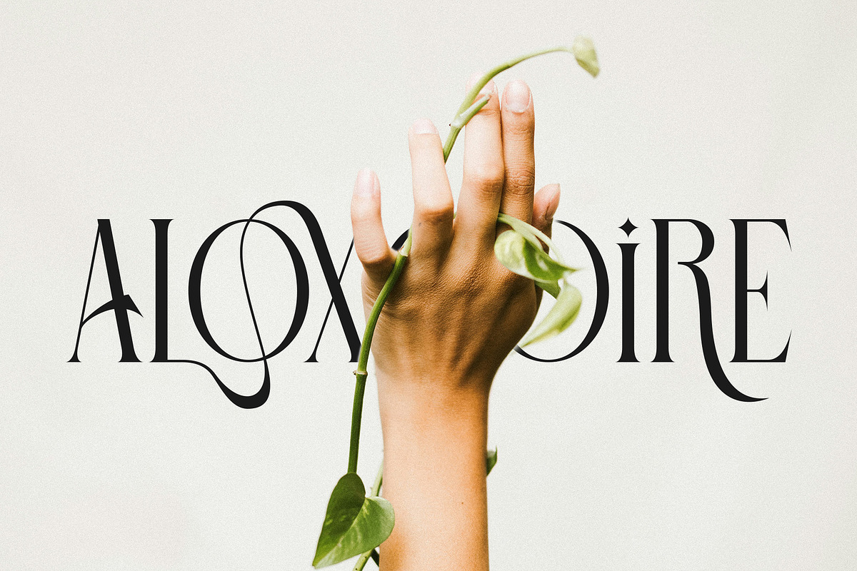 ELOVIA - Modern Ligature Typface, a Serif Font by AnnofaType (Photo 3 of 8)