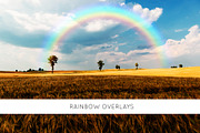 Rainbow overlays, an Object Graphic by ArtuscoDesign (Thumbnail 1 of 5)