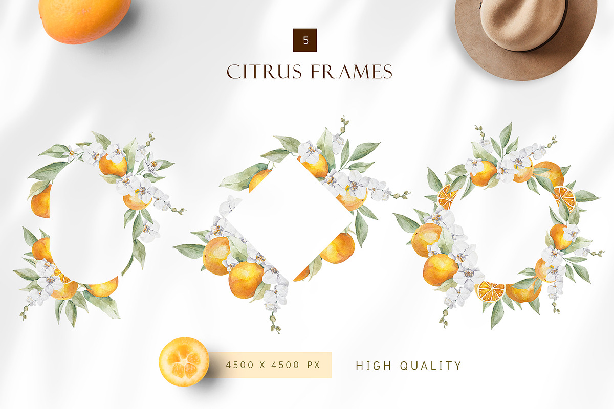 Watercolor citrus orange clipart, an Illustration by MariGraphic boutique (Photo 6 of 10)