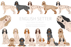 English Setter Clipart