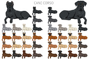 Cane Corso dog clip art, an Animal Illustration by pet design shop (Thumbnail 5 of 9)