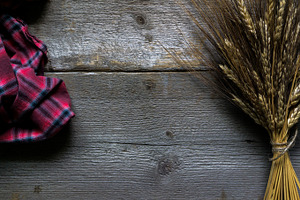 Dark Autumn Styled Photo, a Photo by Britt Leah