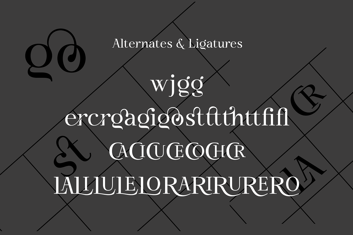 Shogi - Modern Serif Typeface, a Serif Font by Attractype (Photo 8 of 8)