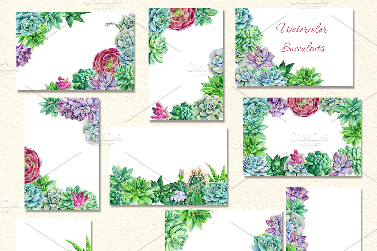 watercolor cacti and succulents, a Decorative Illustration by Hanna Hryharenka (Photo 5 of 9)