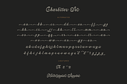 Monthera - Classy Script Font, a Font by Sronstudio (Thumbnail 16 of 17)