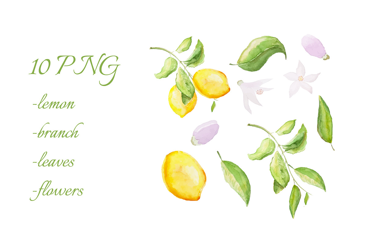 Lemons watercolor wedding set, an Invitation Template by Idressart (Photo 7 of 8)