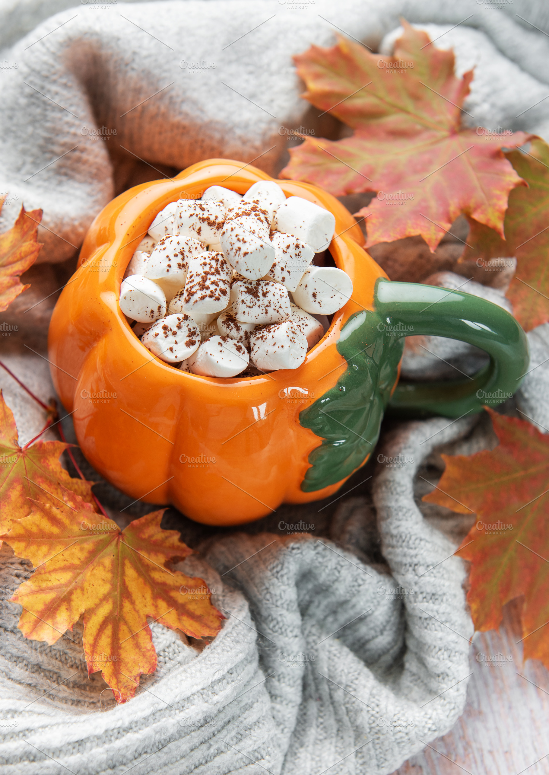 Pumpkin mug of hot chocolate with marshmallows and autumn leaves, a Food & Drink Photo by Olena Rudo