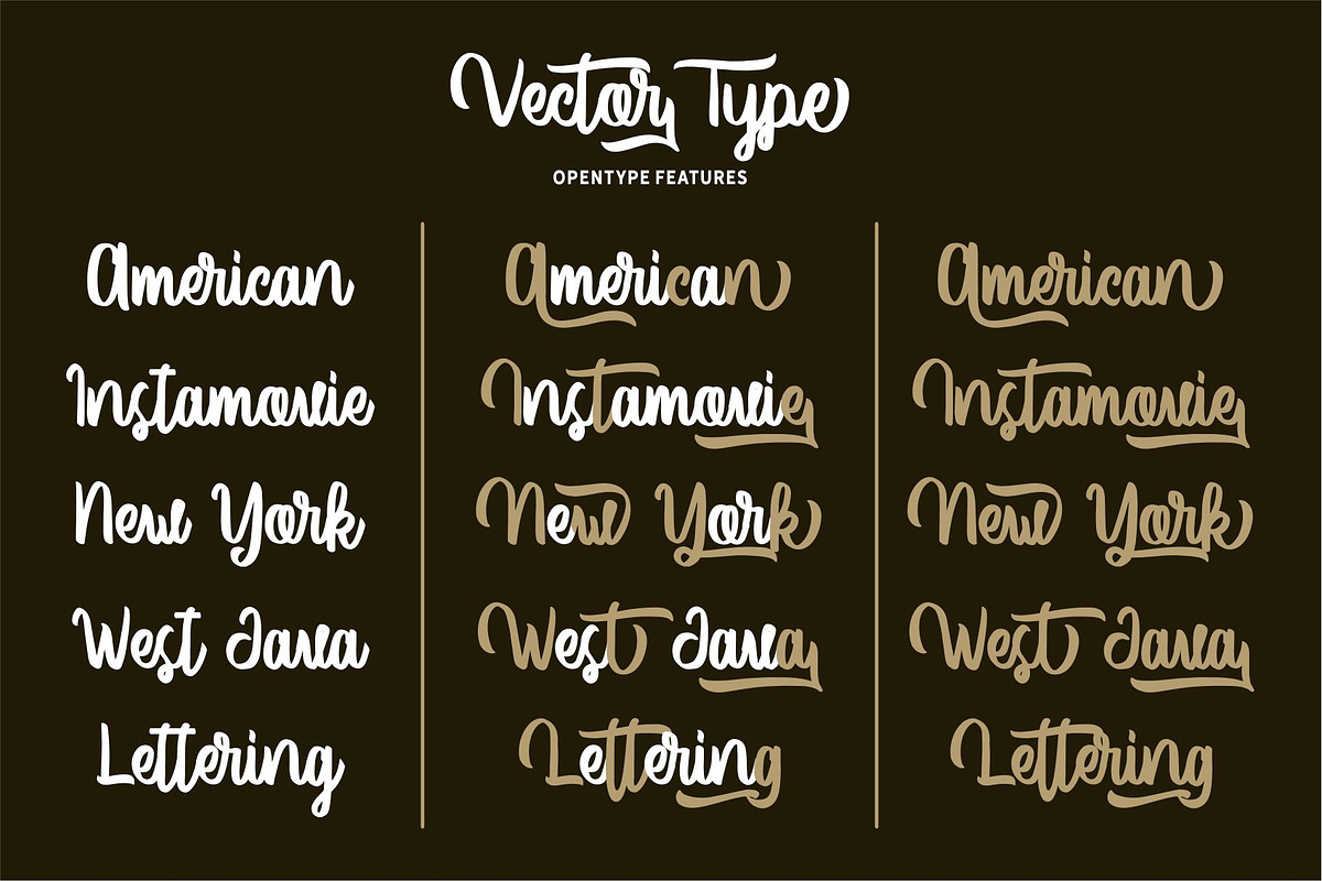 Vector Type preview 3
