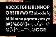 Axel Grotesk - A Sans Serif Typeface, a Sans Serif Font by Bnick (Thumbnail 10 of 10)