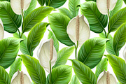 Anthurium flowers, a Pattern Graphic by Sundra (Thumbnail 2 of 15)
