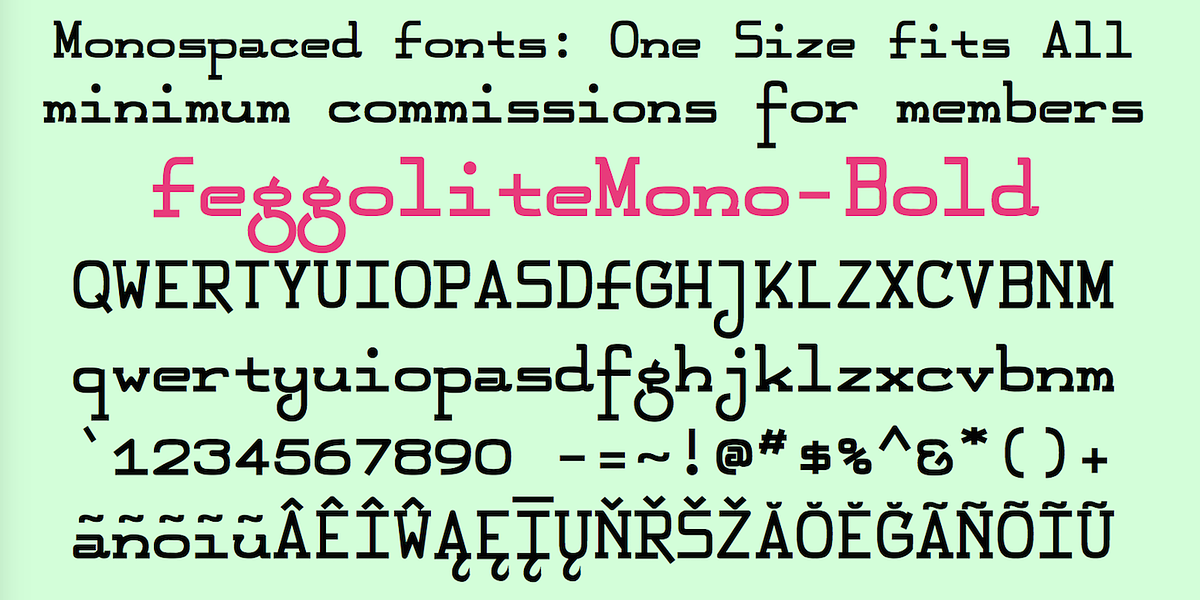 FeggoliteMono, a Slab Serif Font by Ingrimayne Type (Photo 12 of 14)