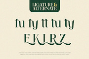 Ventura - Serif Font, a Serif Font by Alpaprana (Thumbnail 3 of 10)
